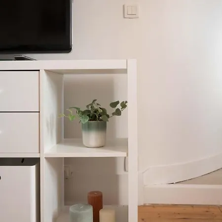 L'estival Champetre - Metro Et Tramway A Cote Daire